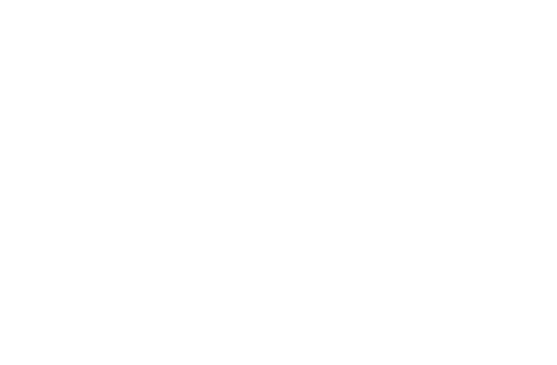 Kiwi Icon